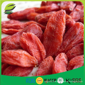 Bayas orgánicas secas de Qinghai Goji Goji orgánico